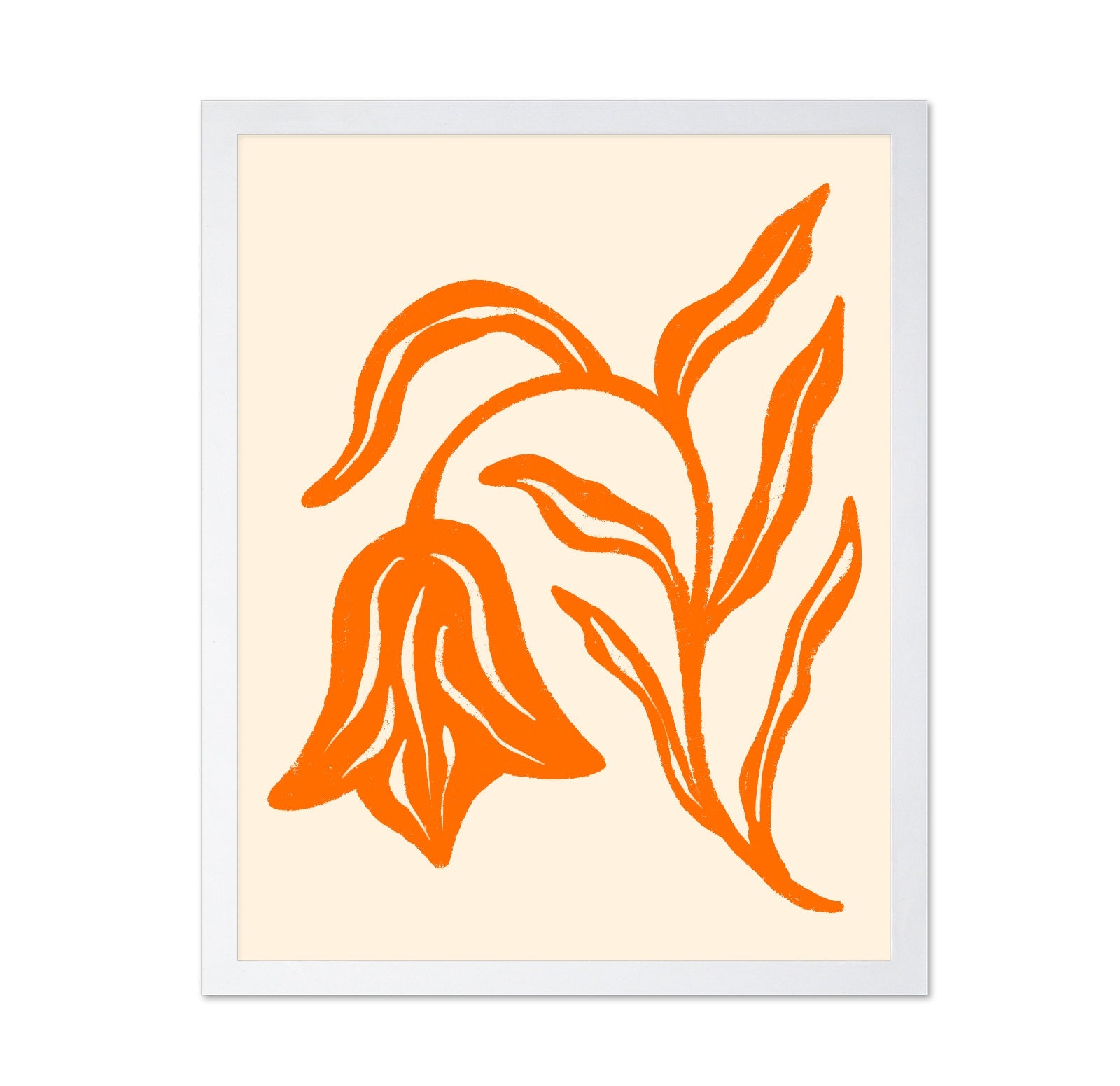 Tangerine Flora
