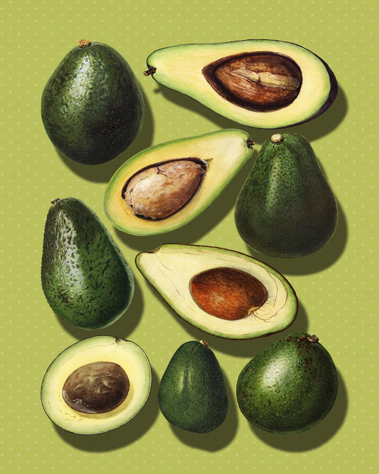 Avocado Study