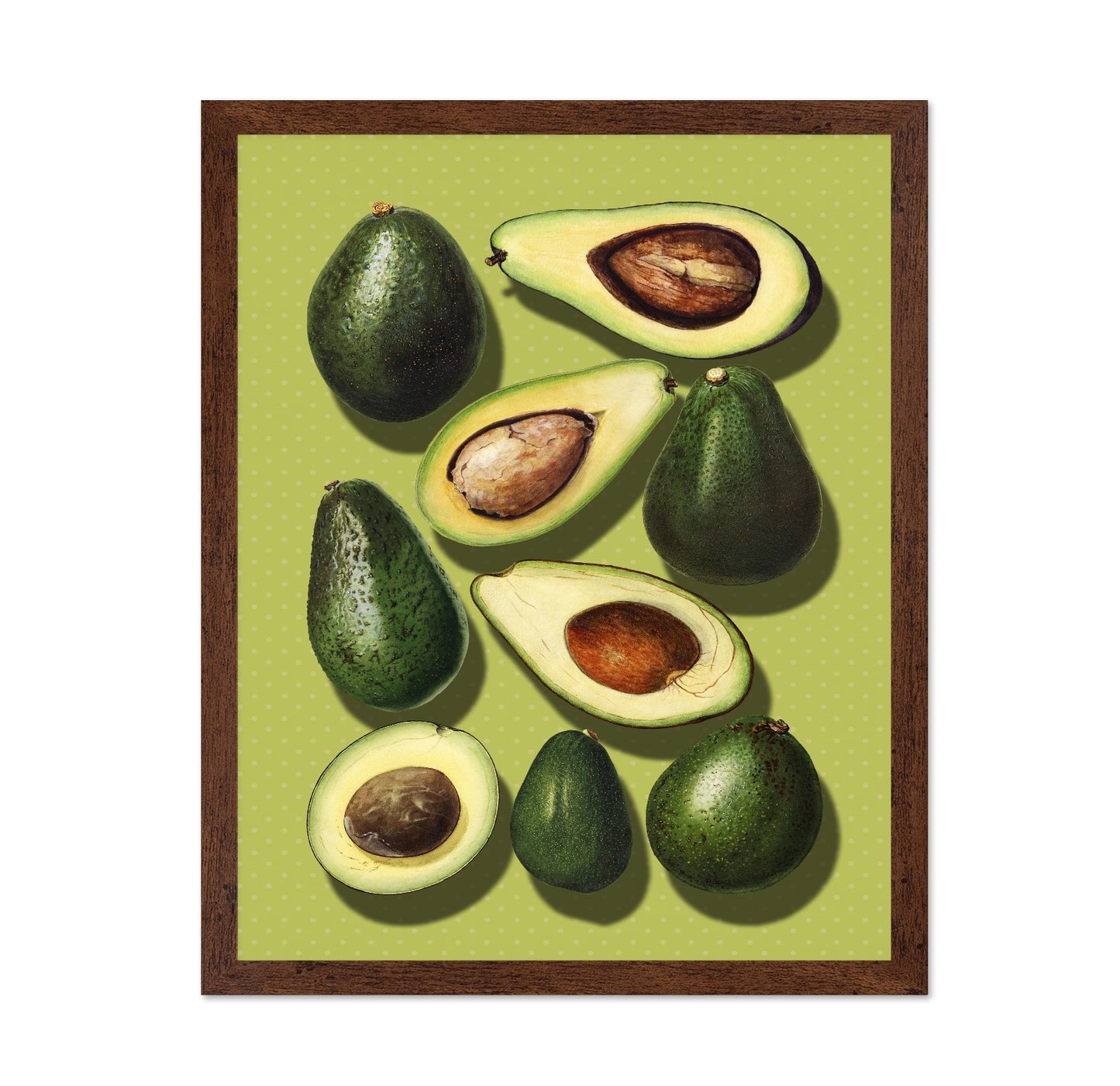 Avocado Study