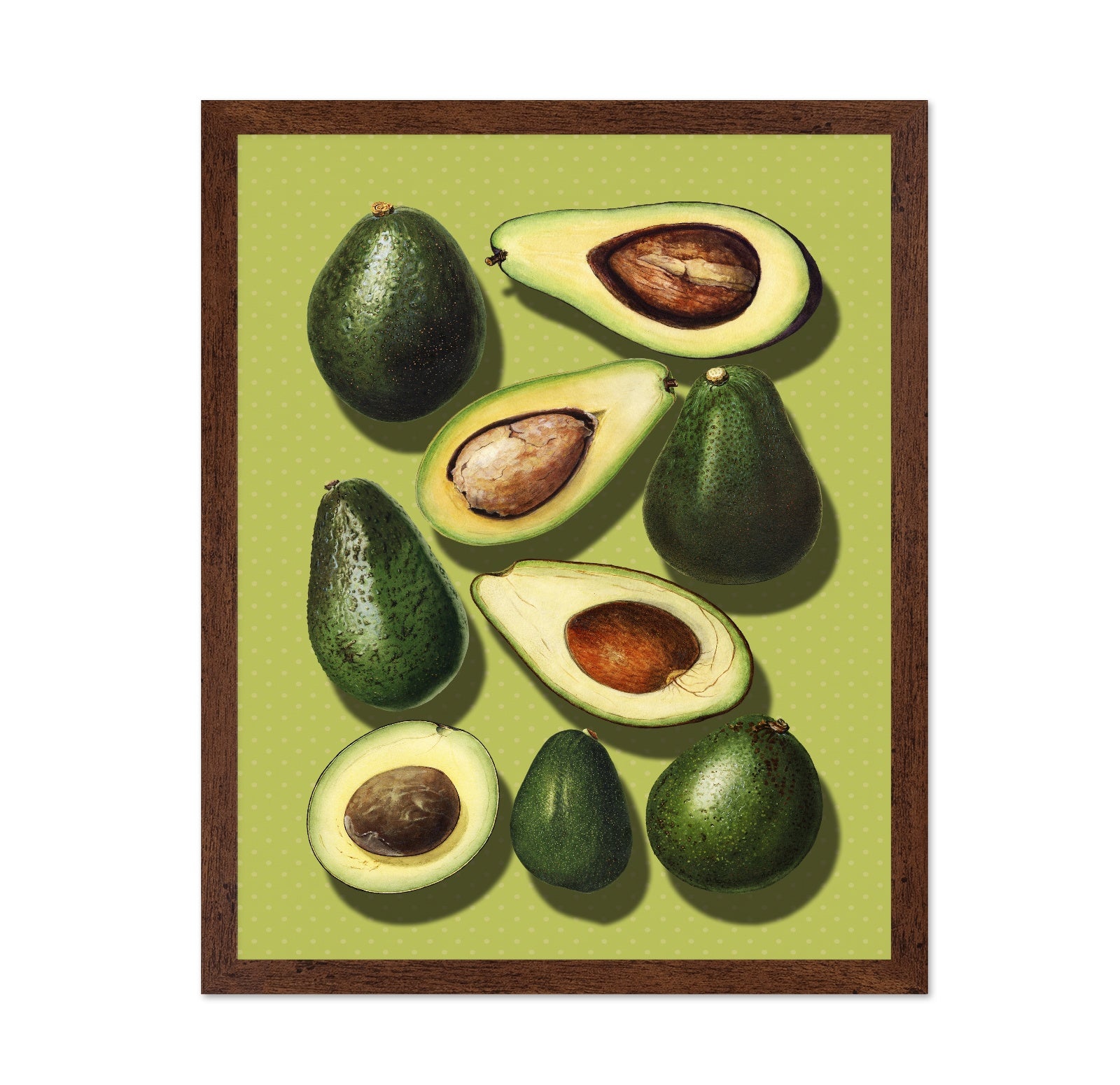 Avocado Study