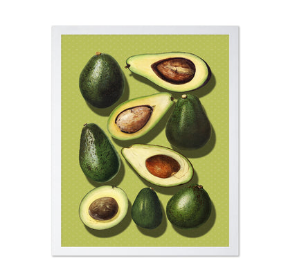 Avocado Study