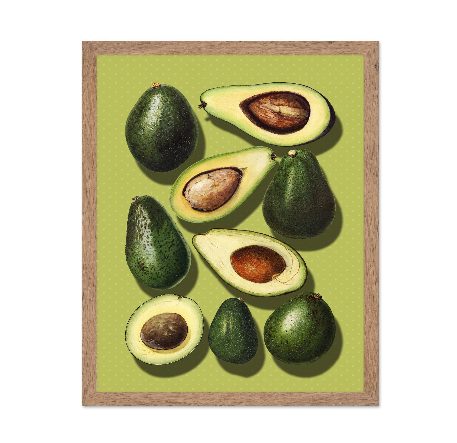 Avocado Study
