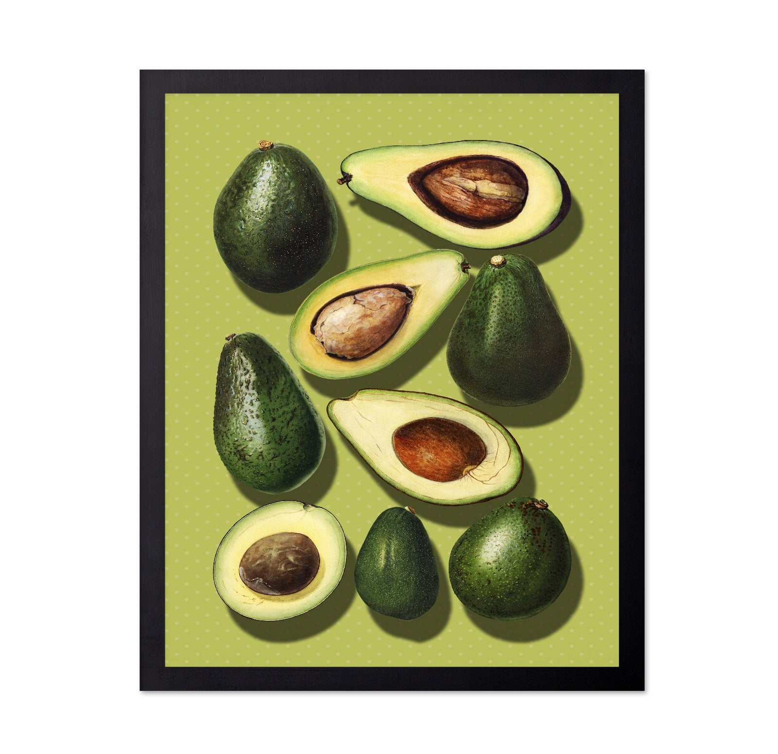 Avocado Study