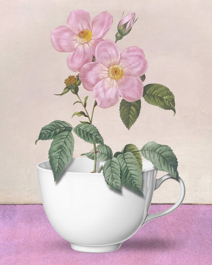 Teacup Bloom