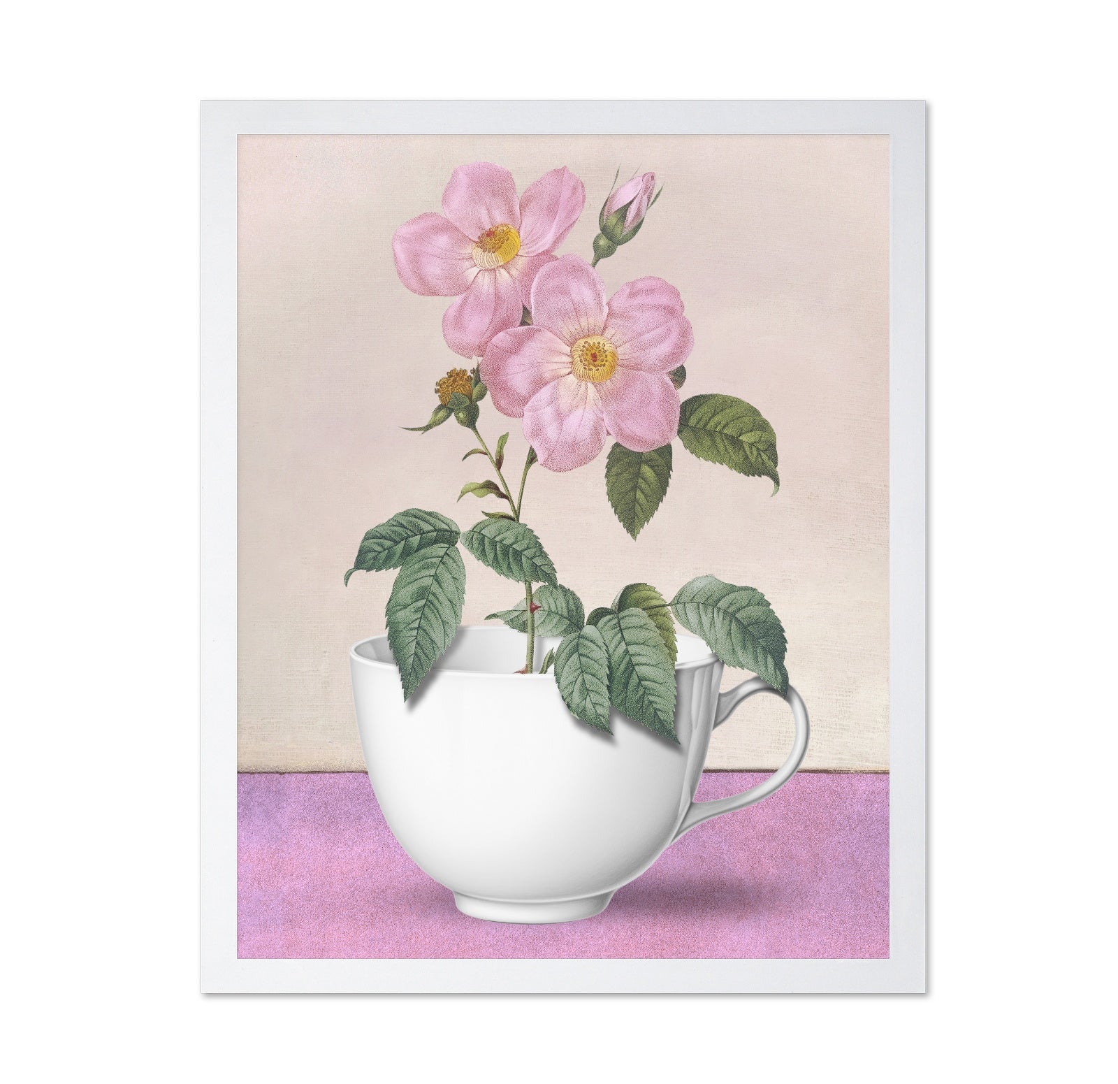 Teacup Bloom