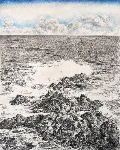 Waves Breaking on Coastal Rocks