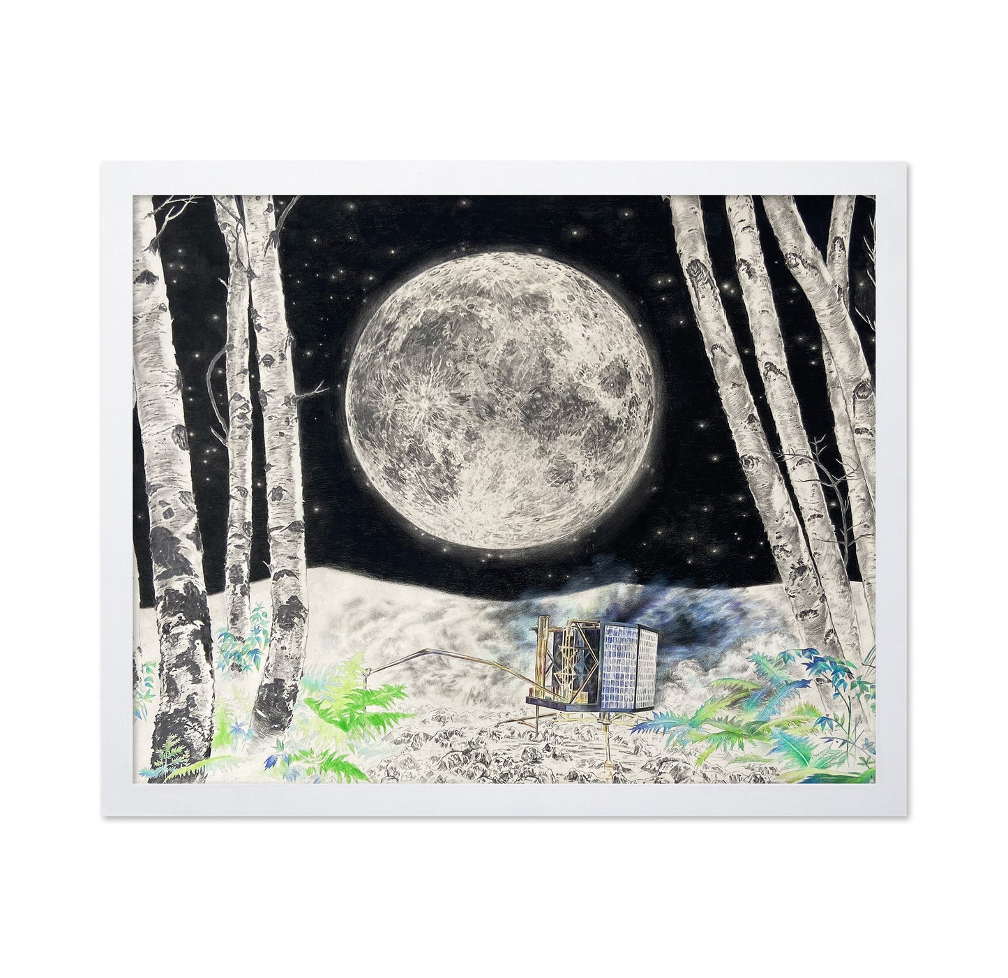 Moonlit Machine in Birch Forest