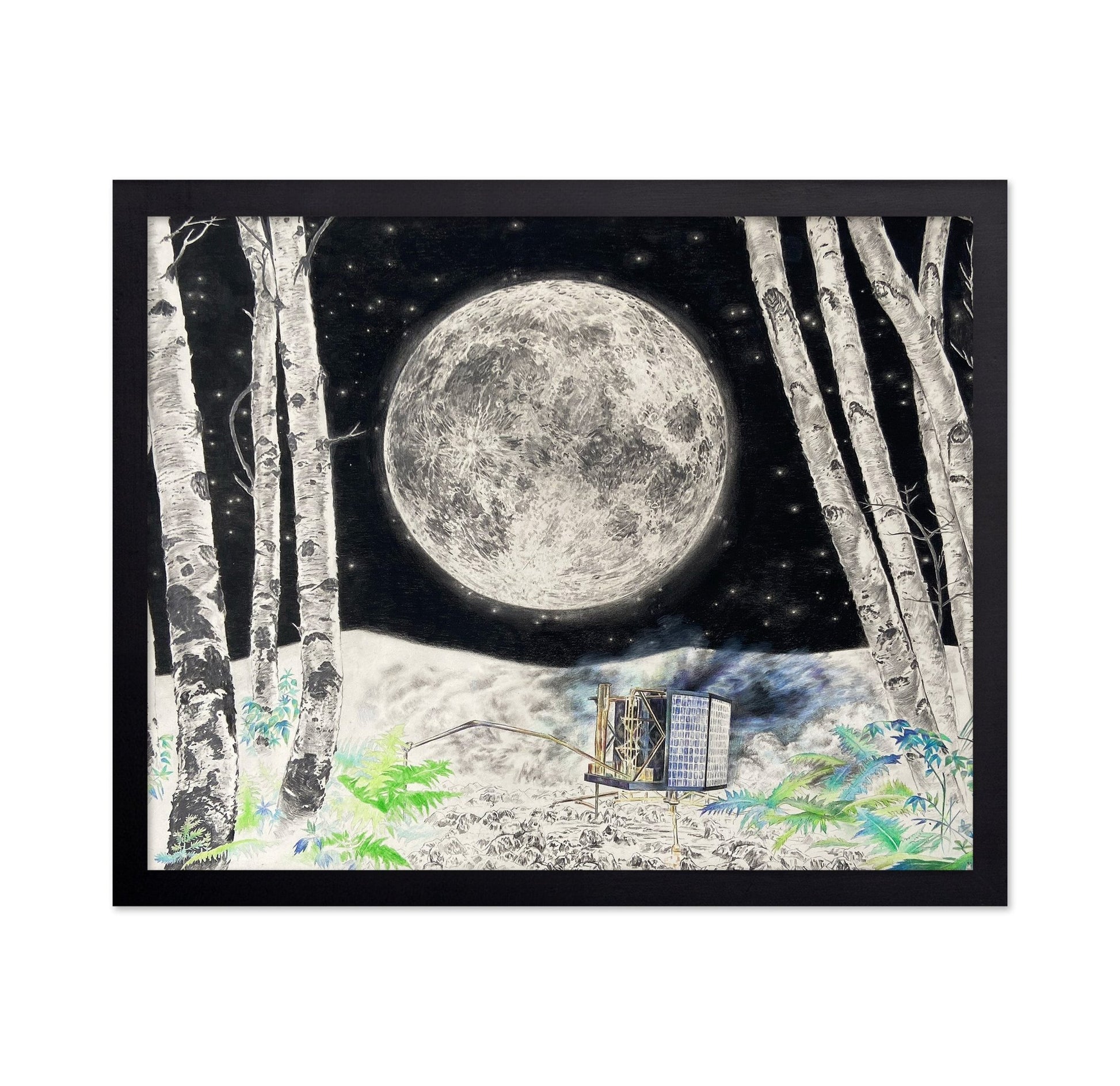 Moonlit Machine in Birch Forest