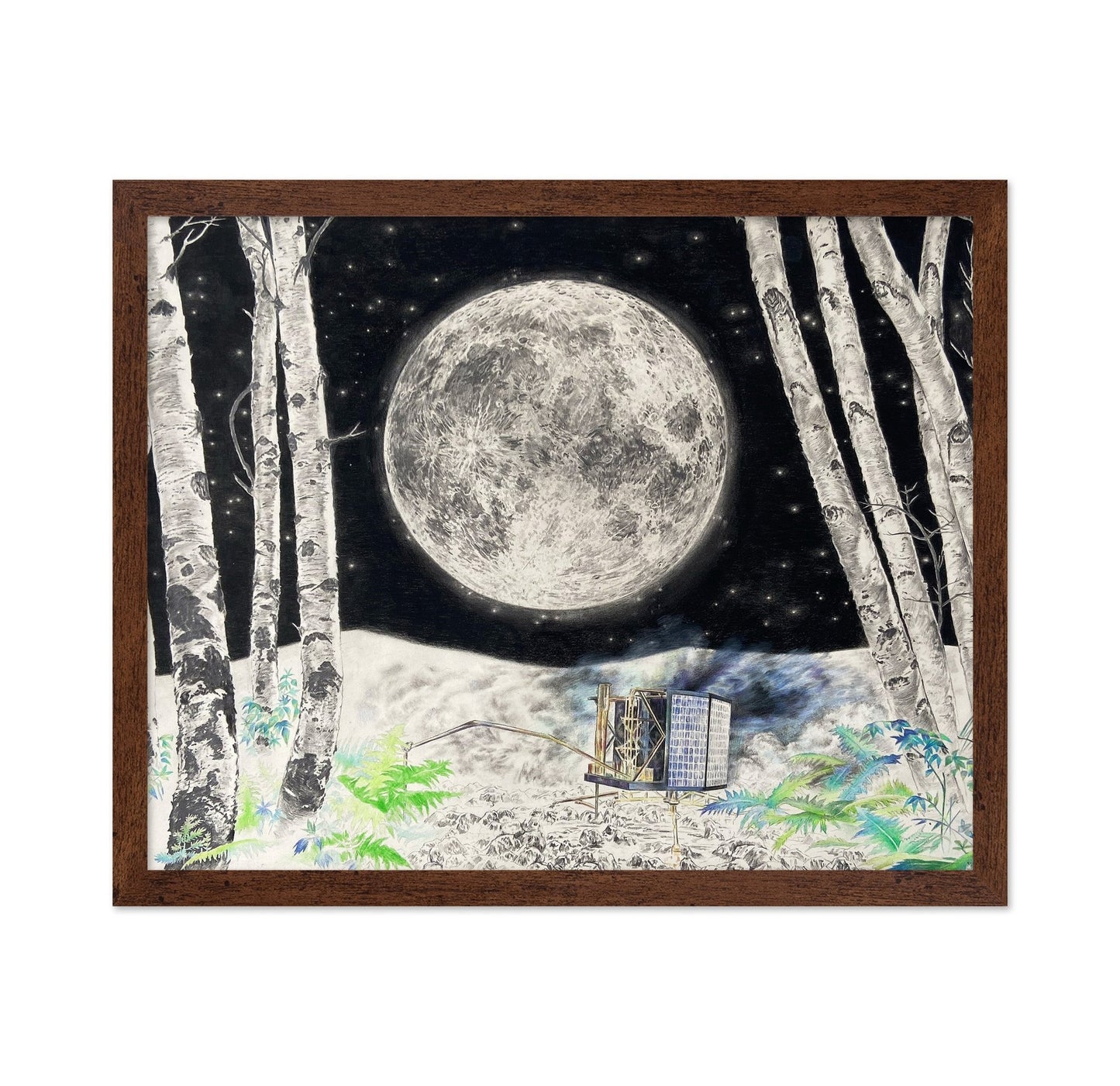 Moonlit Machine in Birch Forest