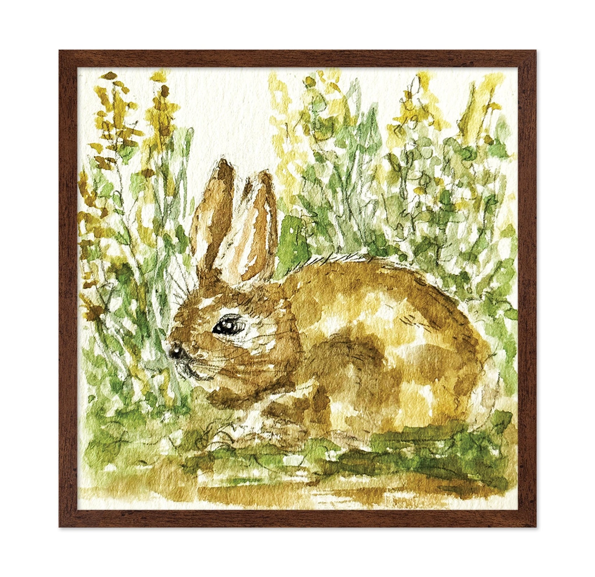 Woodland Bunny Study