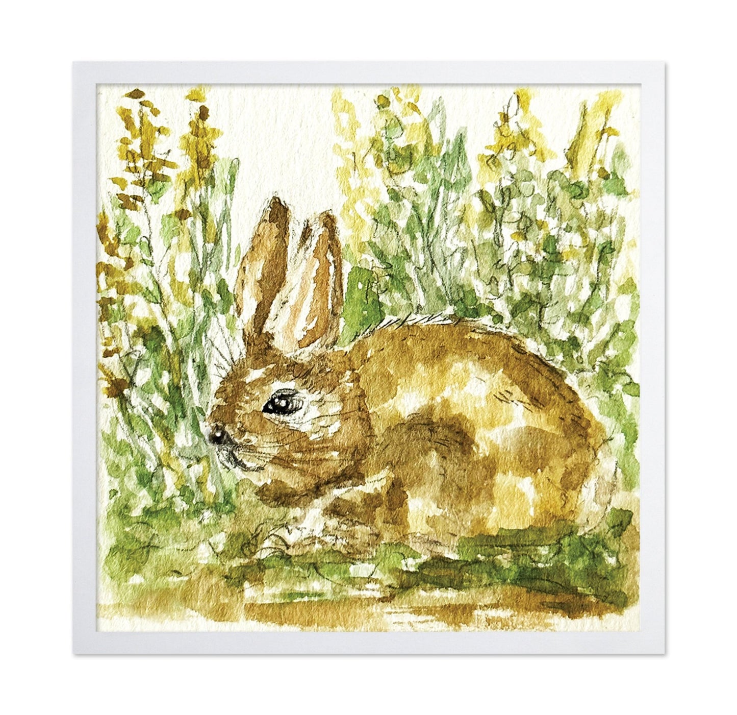 Woodland Bunny Study