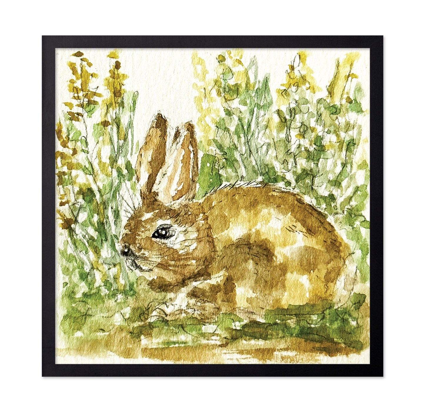 Woodland Bunny Study