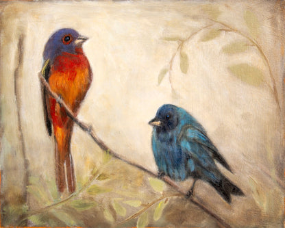 Colorful Bird Pair
