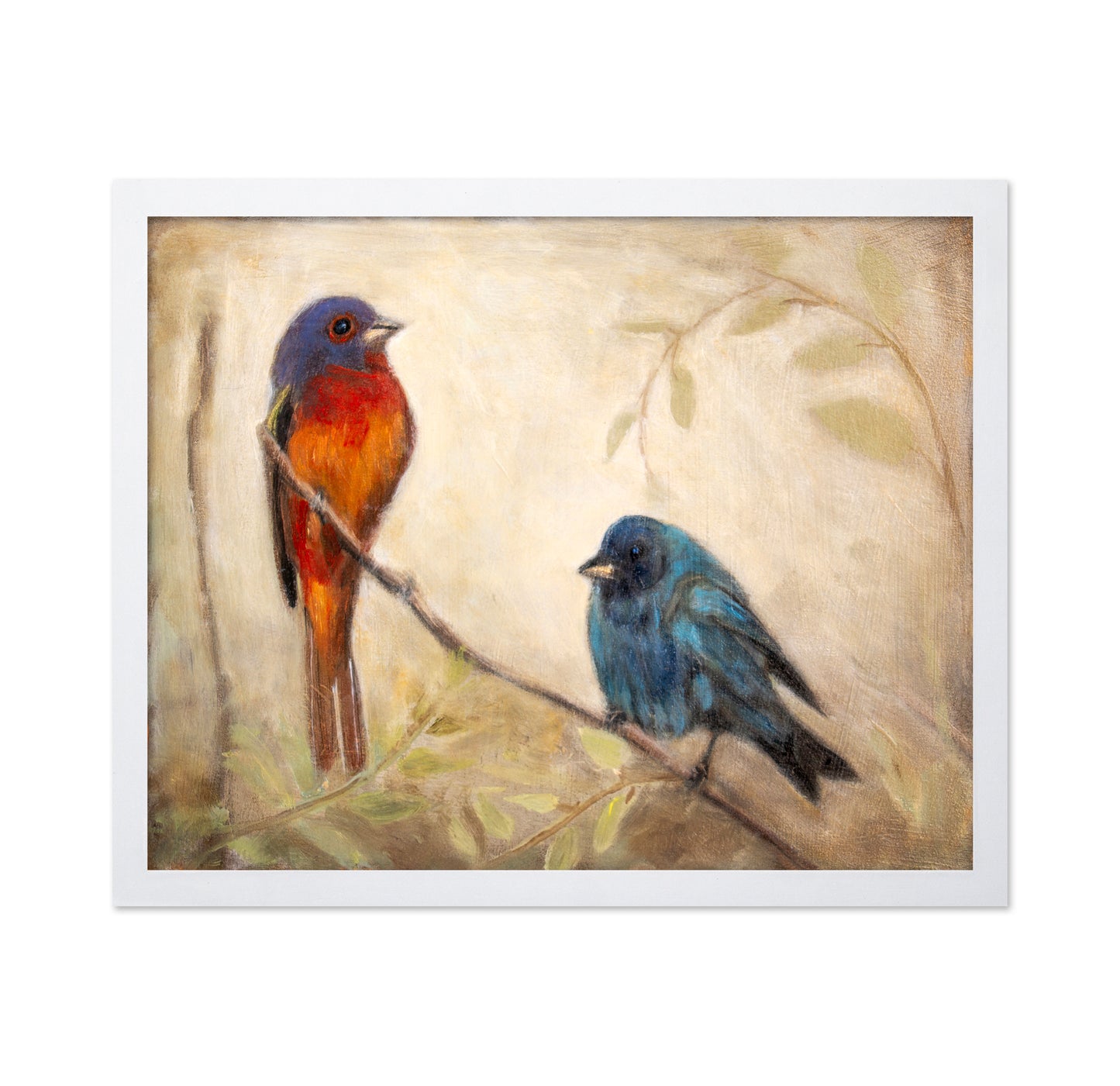 Colorful Bird Pair