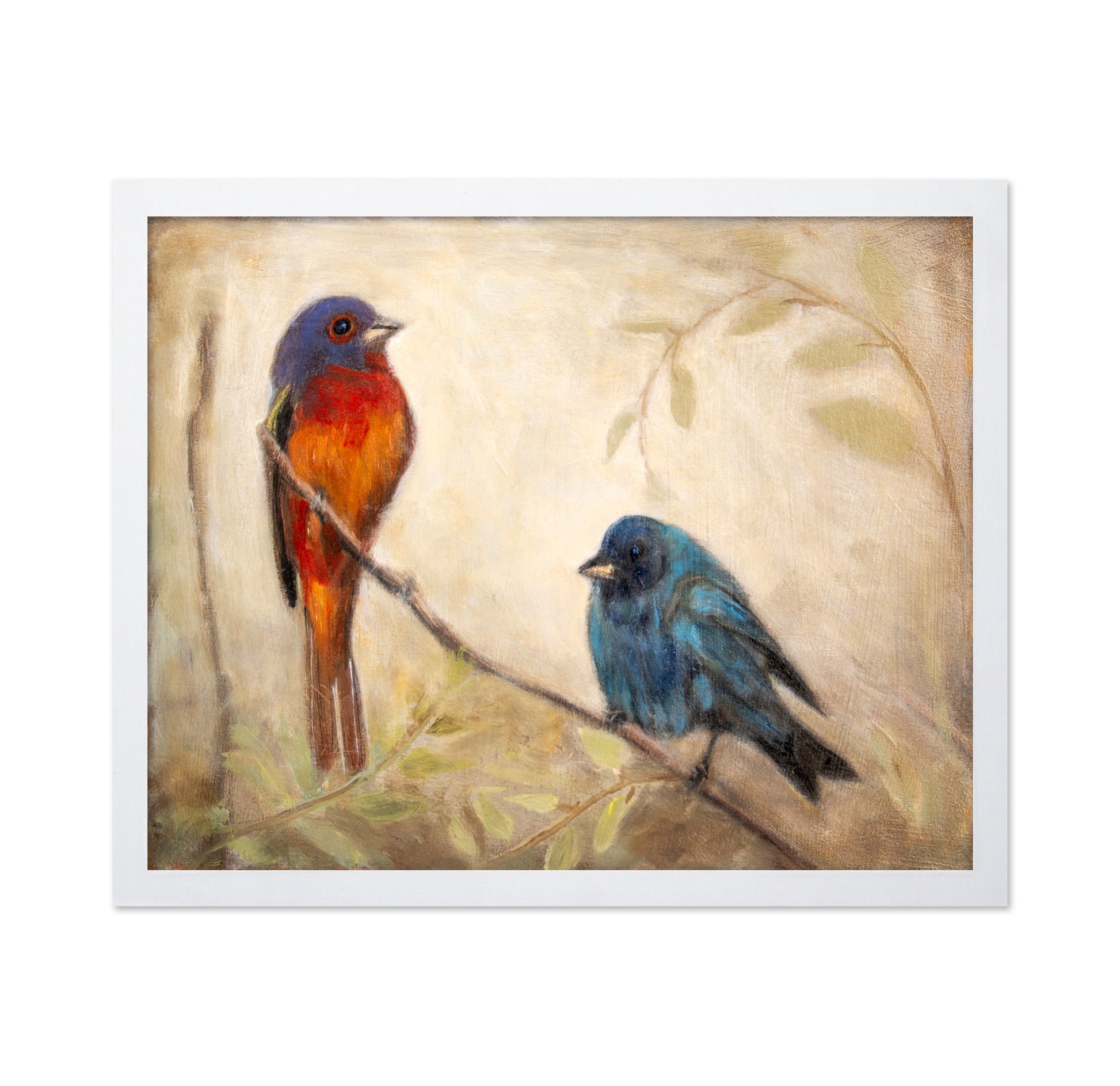 Colorful Bird Pair