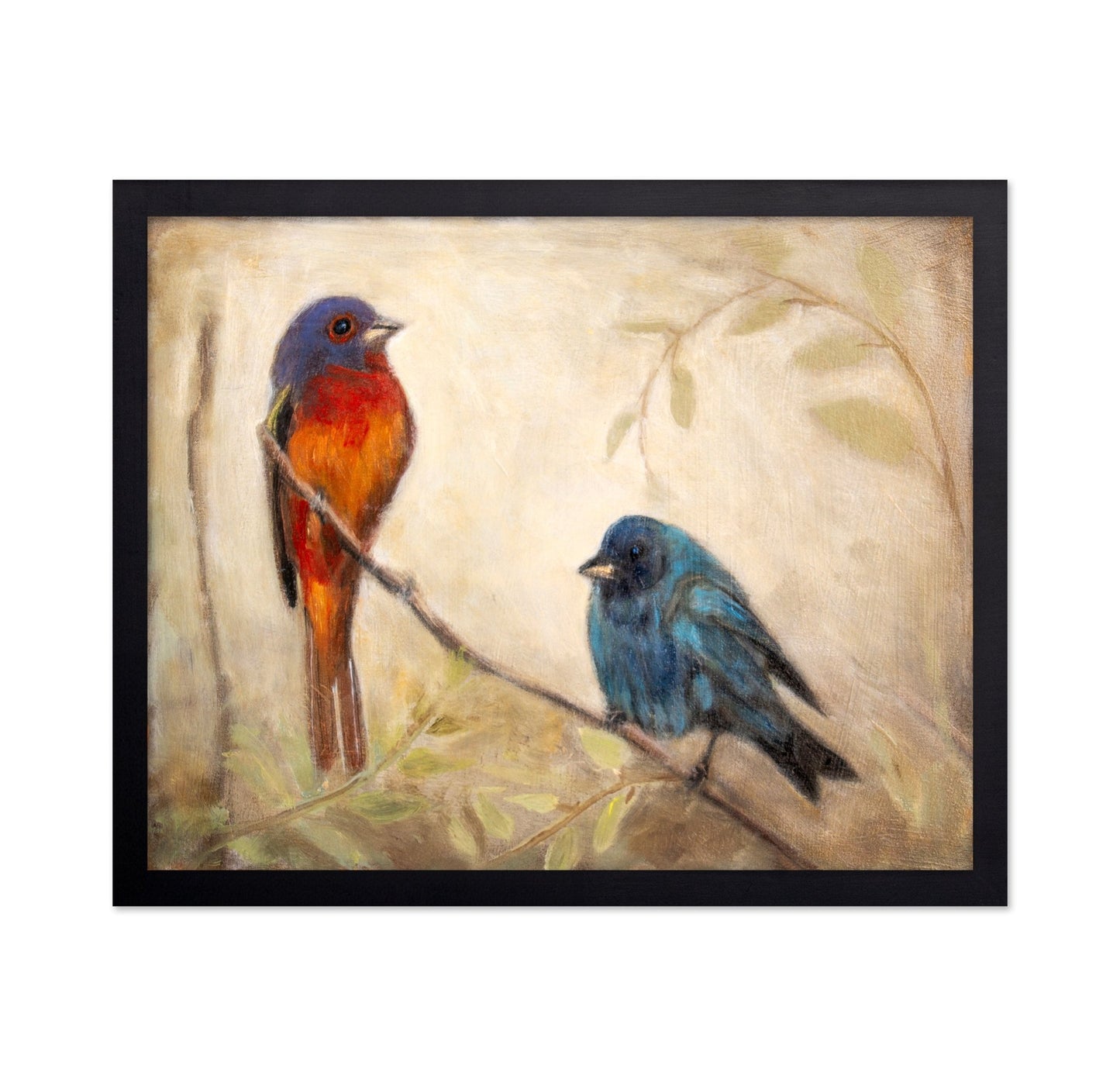Colorful Bird Pair