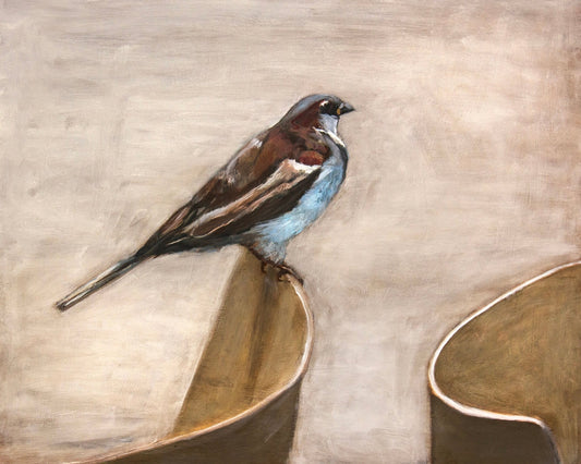 Quiet Sparrow Rest