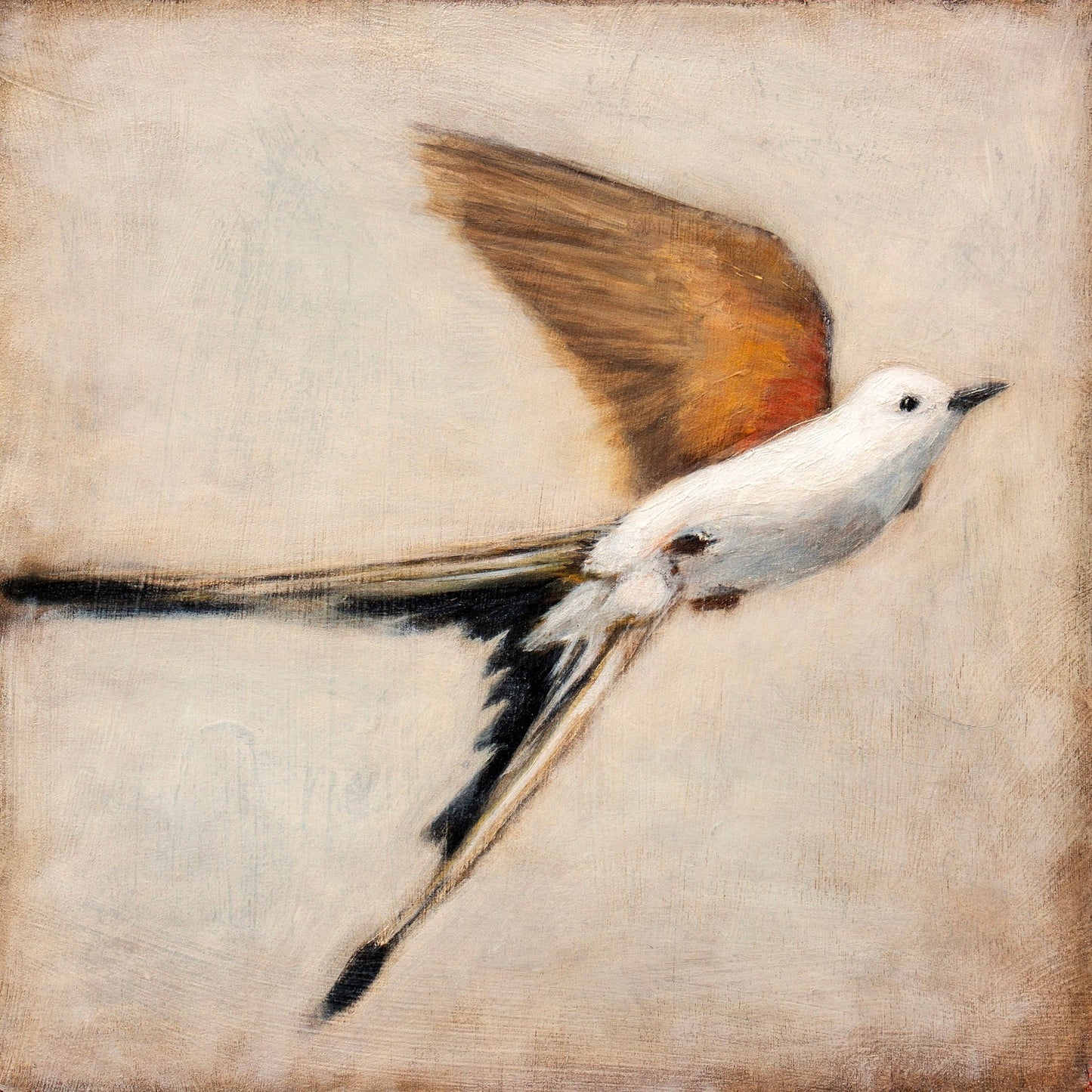 Graceful Winged Flight