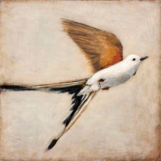 Graceful Winged Flight