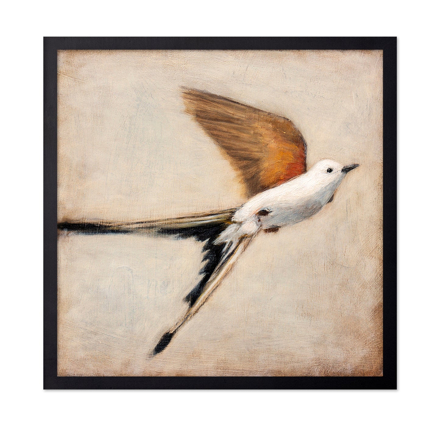 Graceful Winged Flight