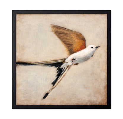 Graceful Winged Flight