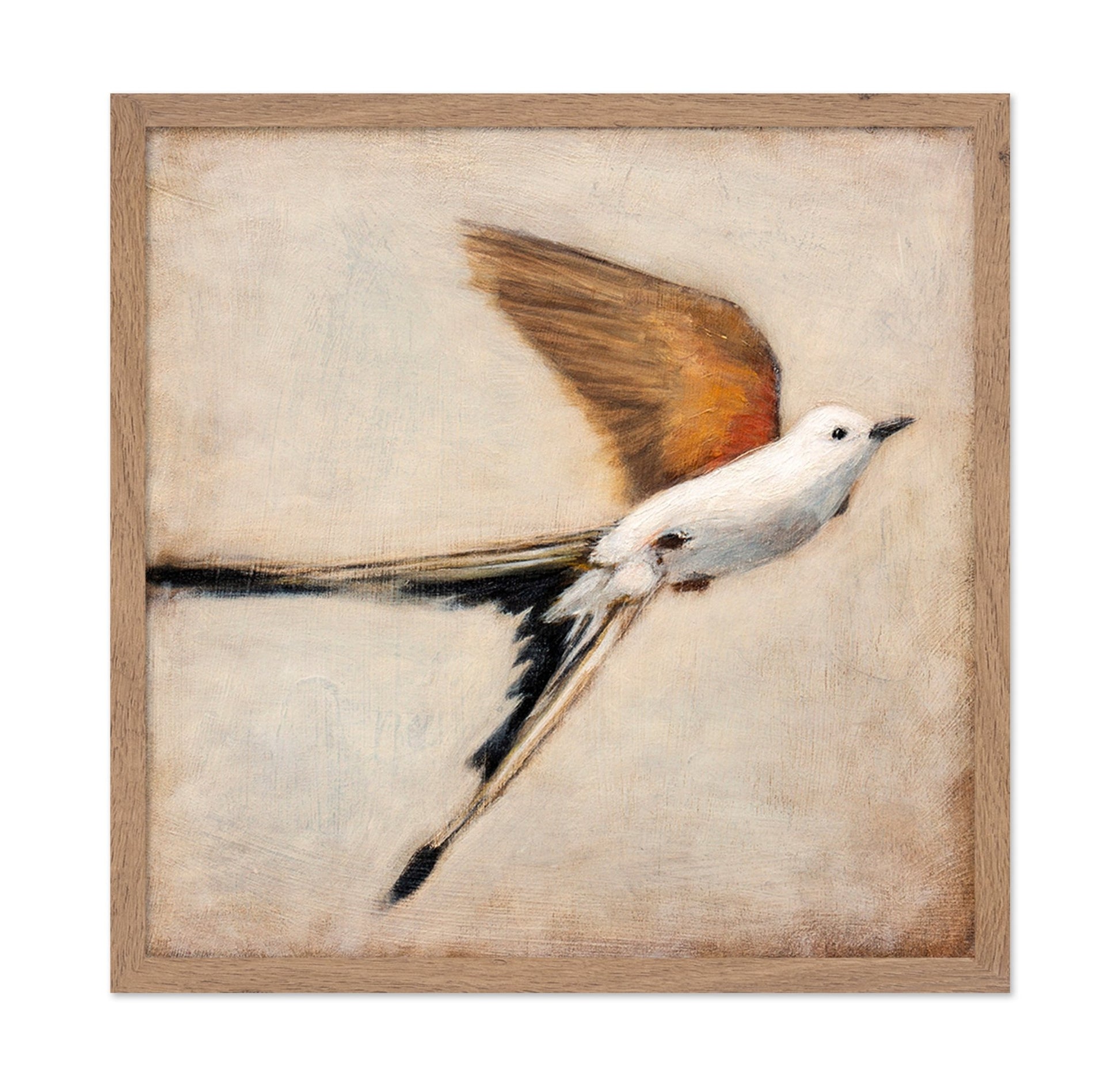 Graceful Winged Flight