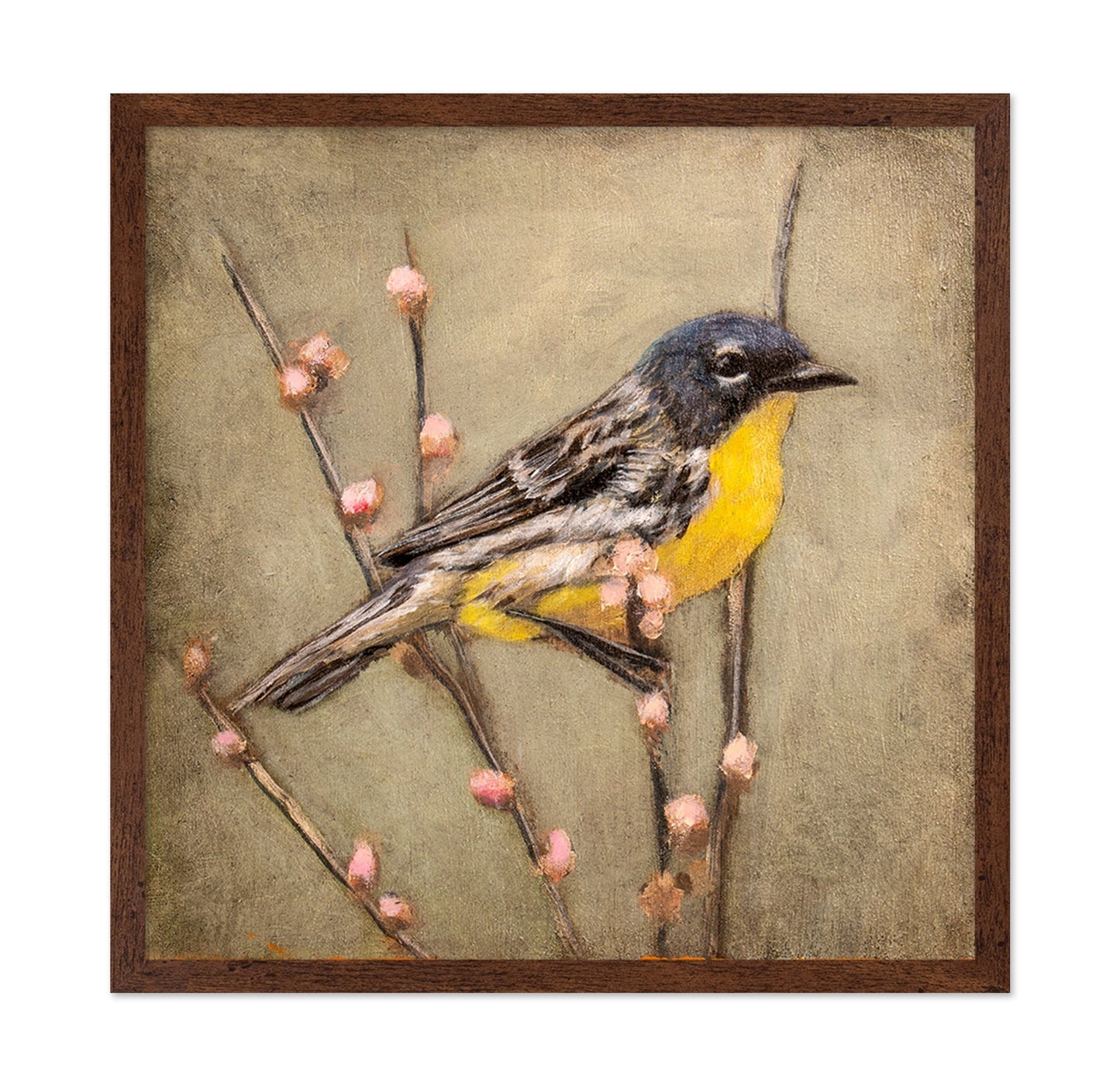 Golden Throat Sparrow