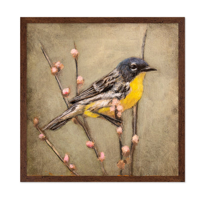 Golden Throat Sparrow