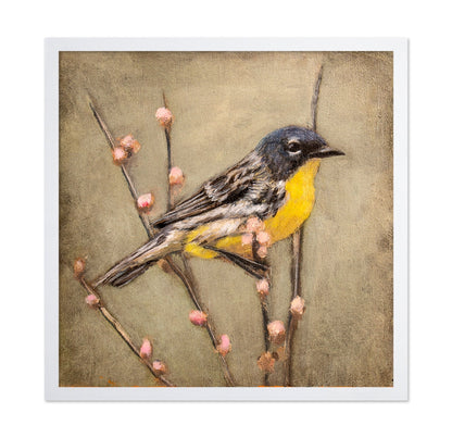 Golden Throat Sparrow
