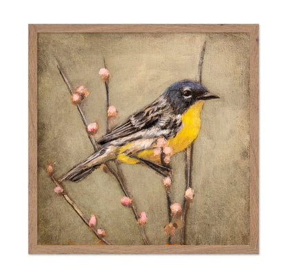 Golden Throat Sparrow