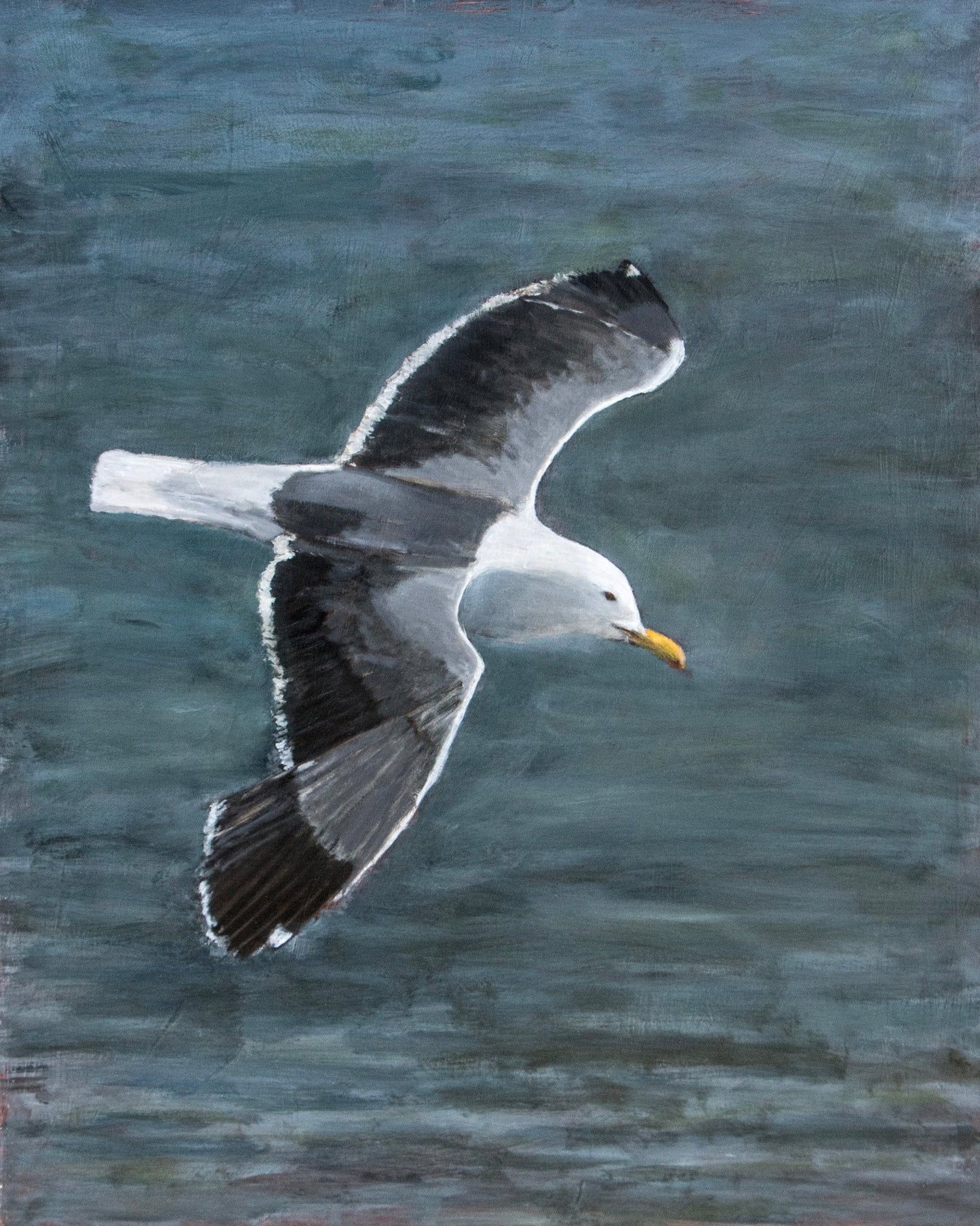 Ocean Glide Seagull