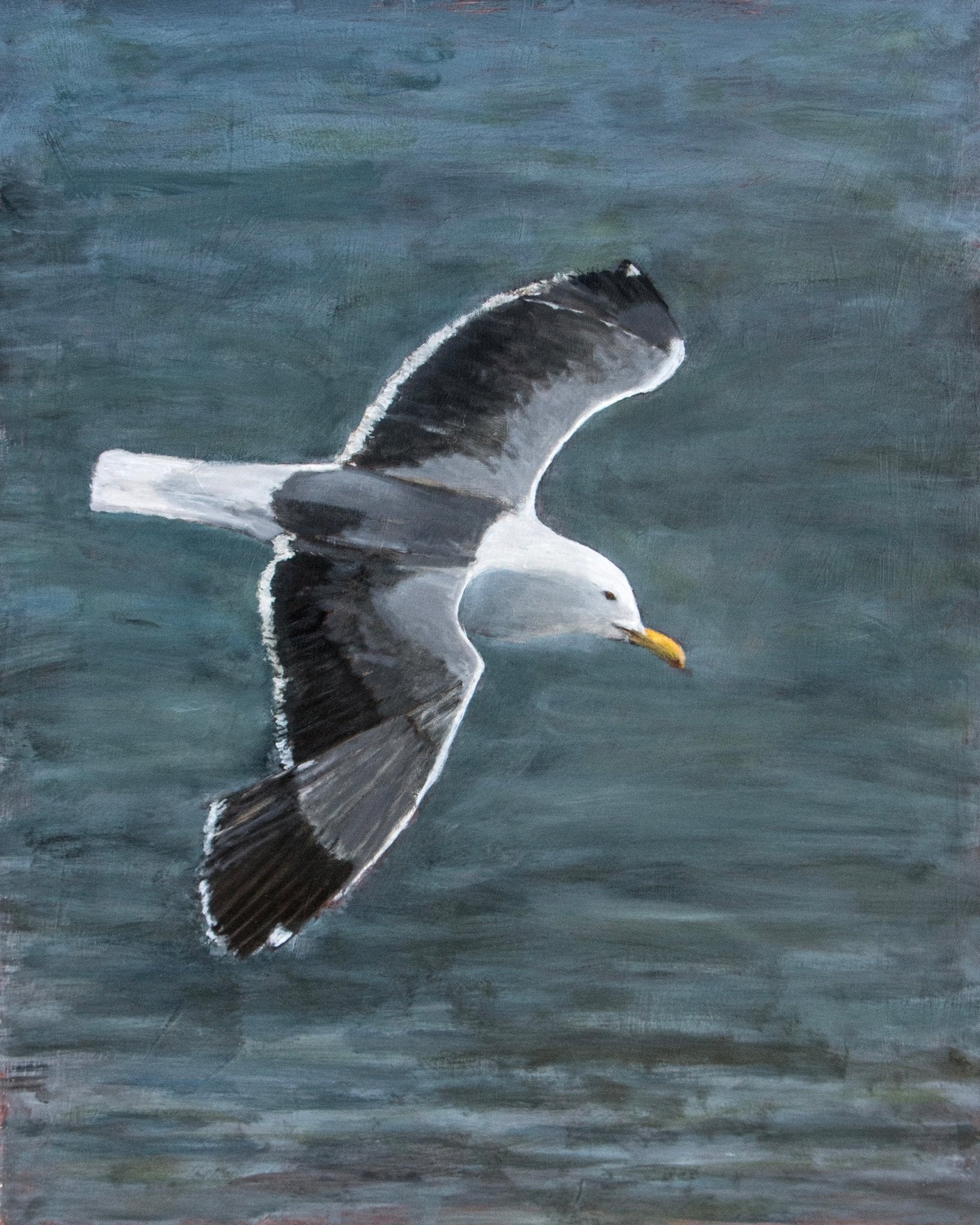 Ocean Glide Seagull