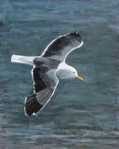 Ocean Glide Seagull