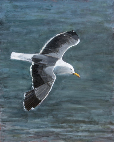 Ocean Glide Seagull