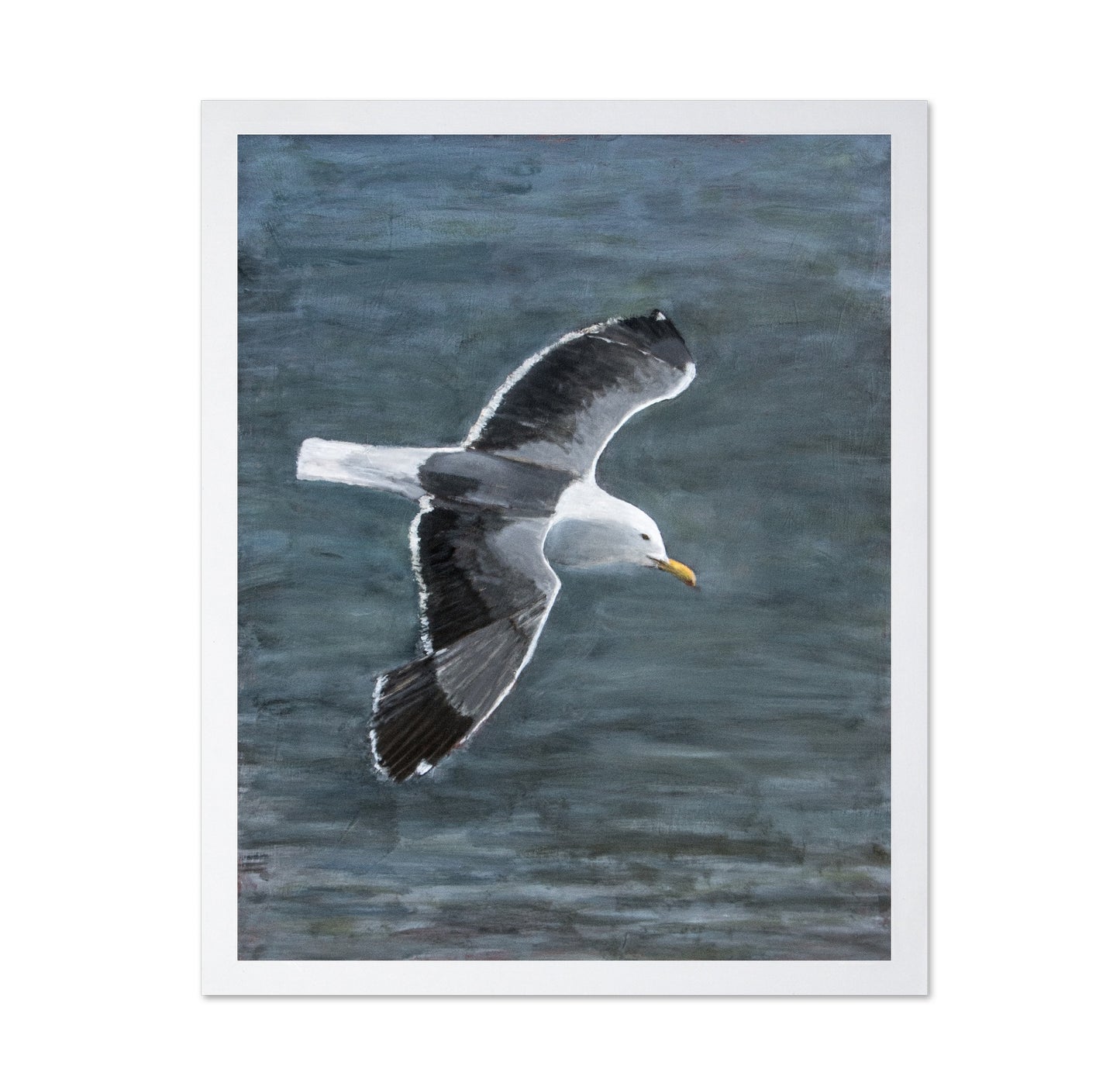 Ocean Glide Seagull