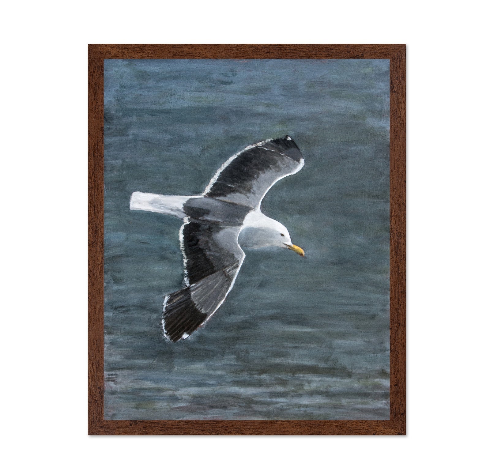 Ocean Glide Seagull