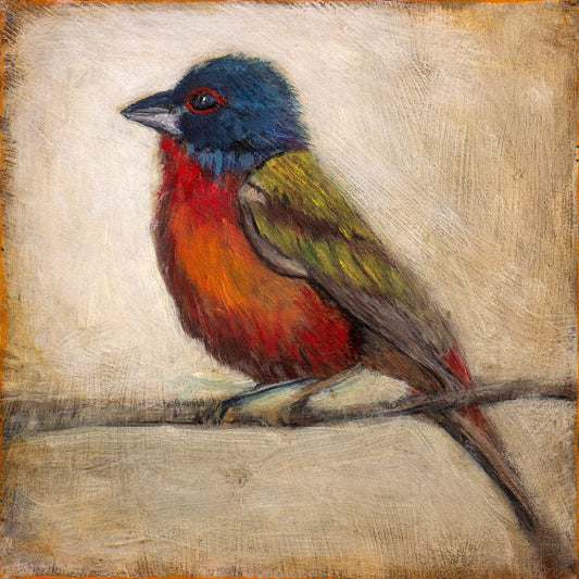 Jewel Toned Perch