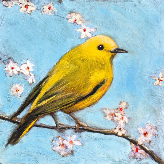 Golden Spring Songbird