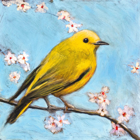 Golden Spring Songbird