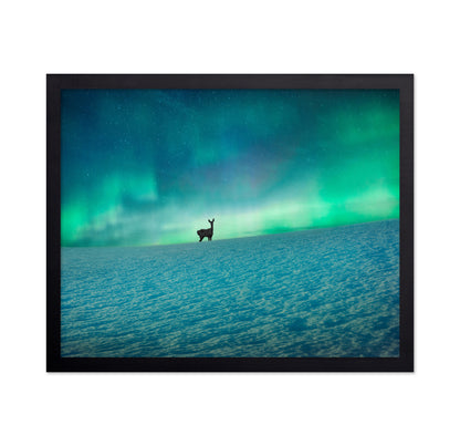 Aurora Deer Scene