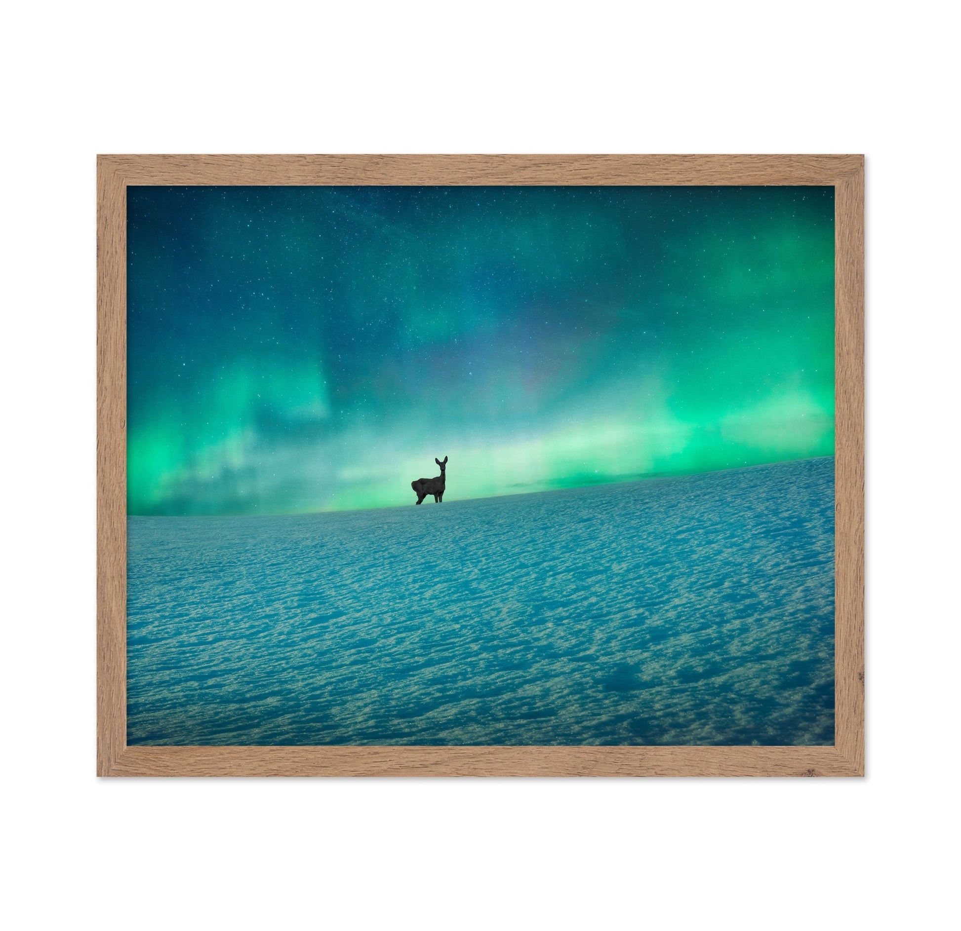 Aurora Deer Scene