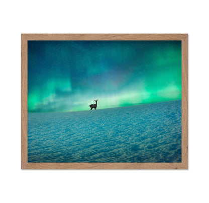 Aurora Deer Scene