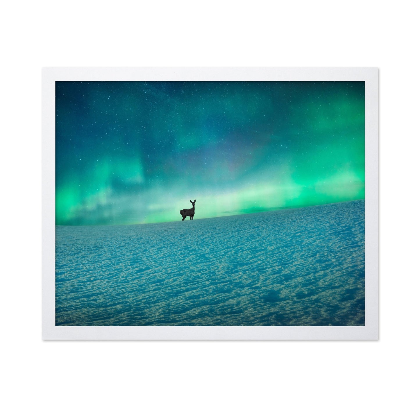 Aurora Deer Scene