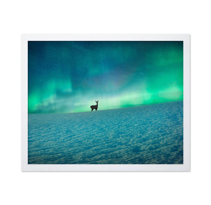 Aurora Deer Scene