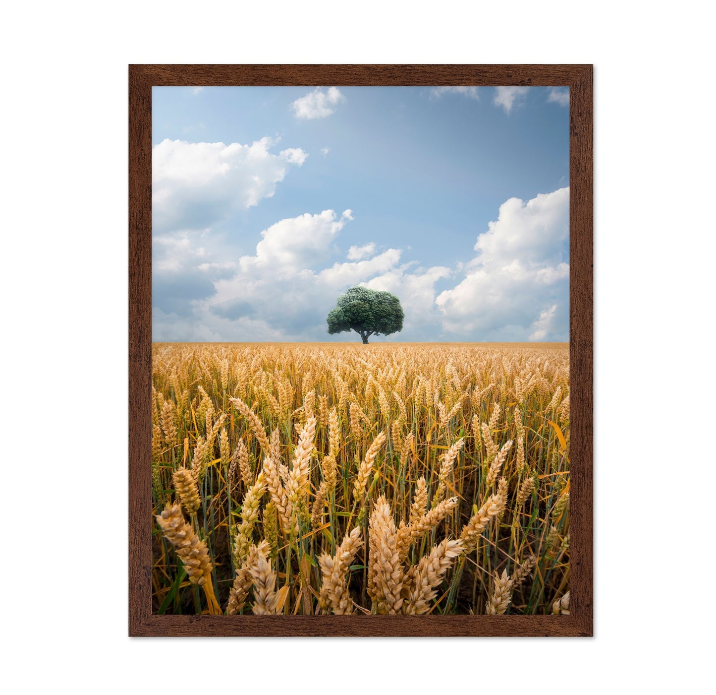 Lone Tree Field No2