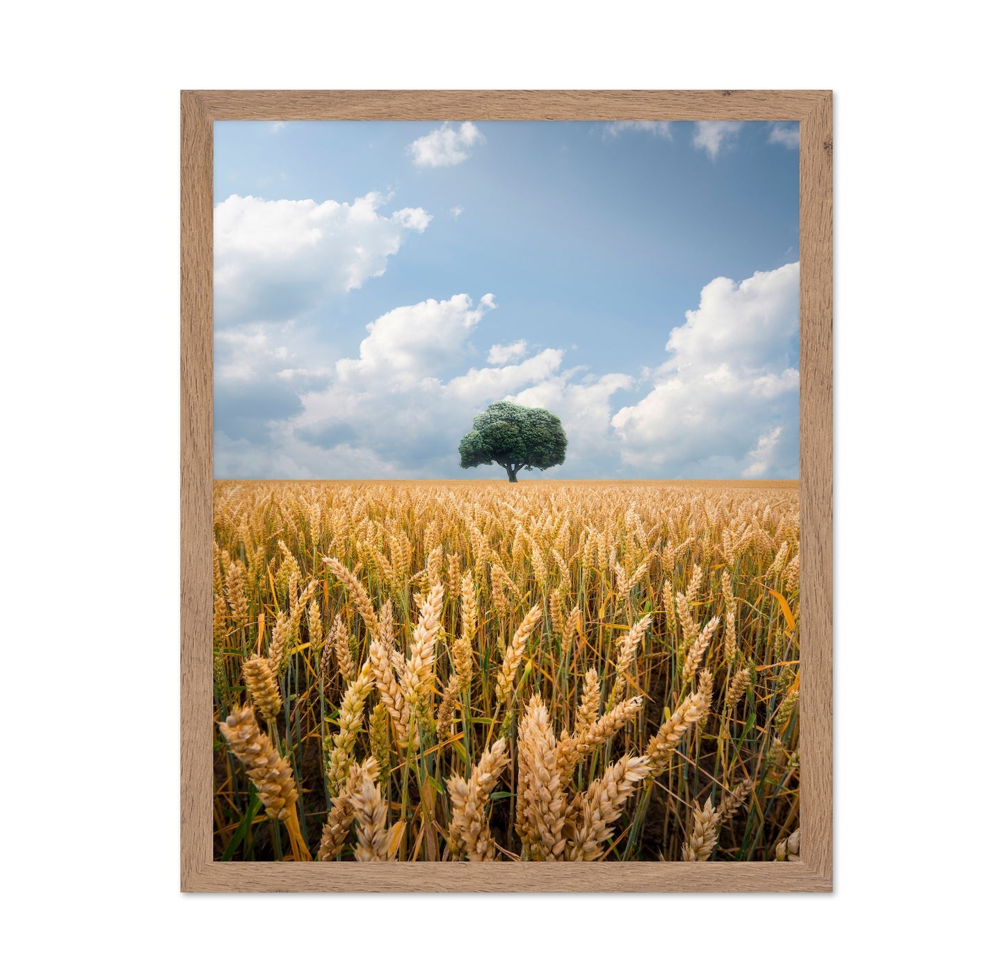 Lone Tree Field No2