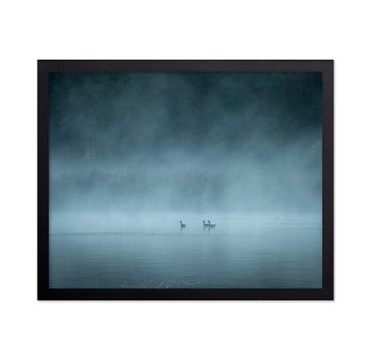 Misty Lake Birds