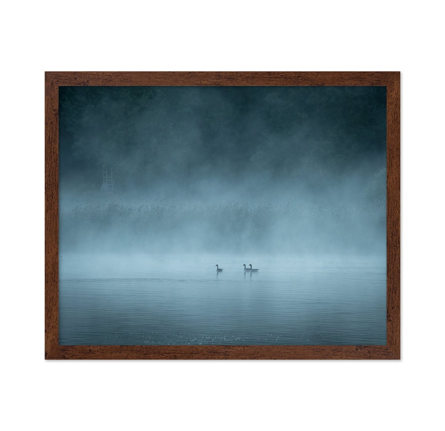 Misty Lake Birds