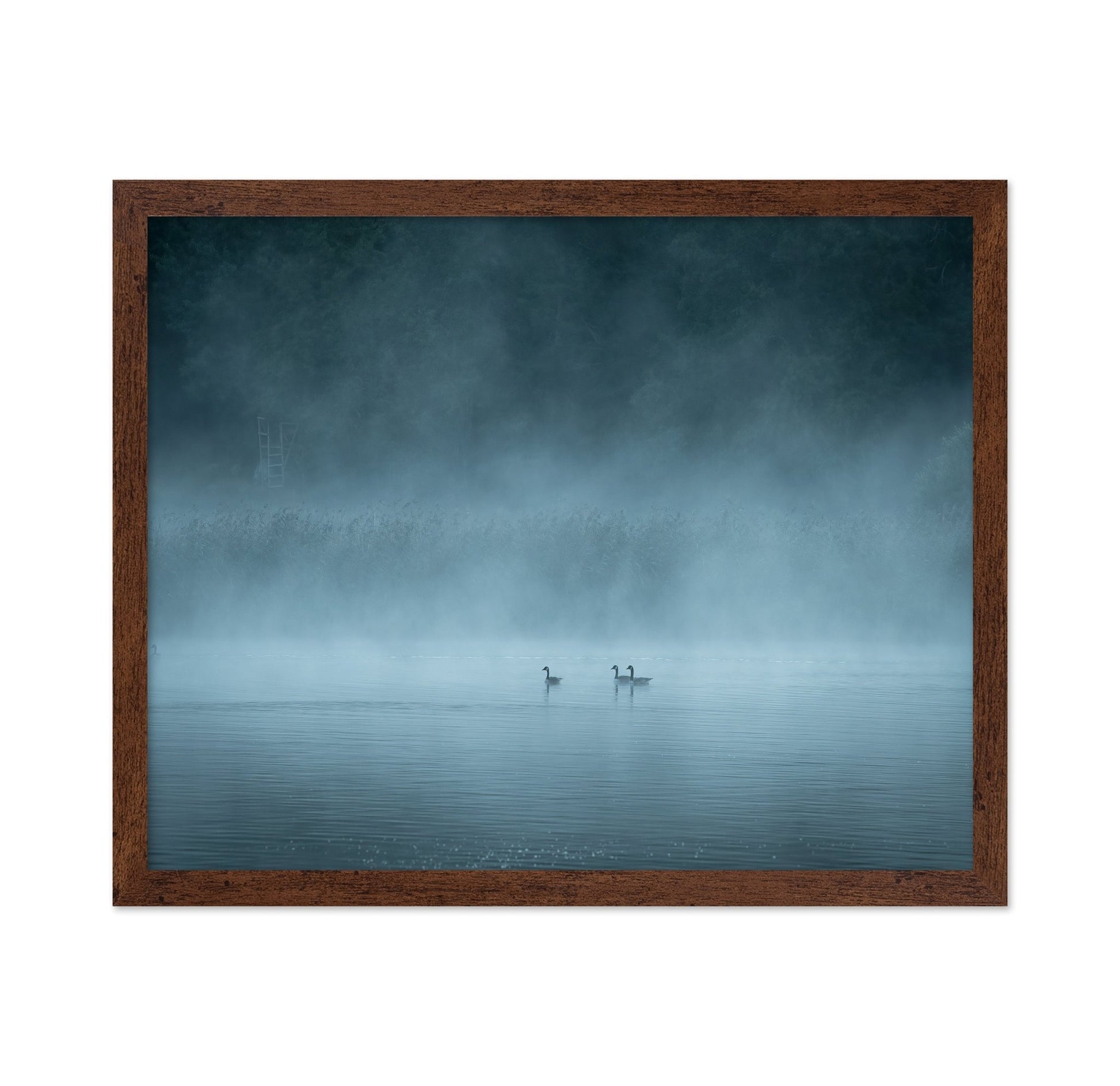 Misty Lake Birds