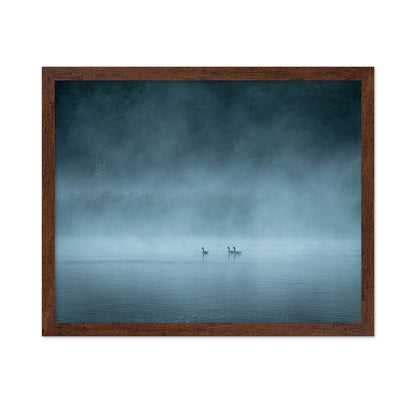 Misty Lake Birds